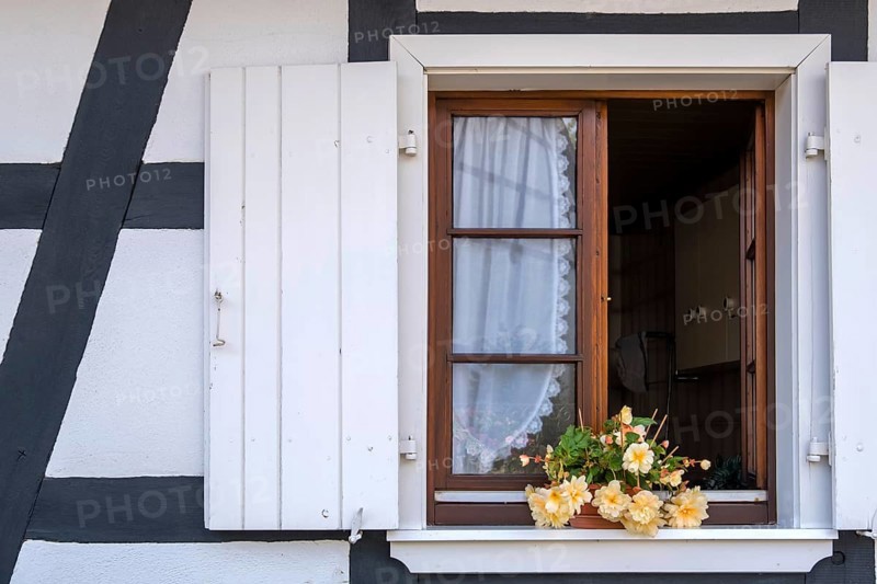 Opened window in a half-timbered house, flower pot with a begonia, Alsace, France, Europe