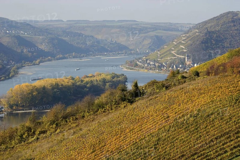 Europe, Germany, Rhineland-Palatinate, Middle Rhine, Rhine Valley, river, Rhine, autumn, autumn landscape, view, Lorch, Unesco, Rhine boatman, landscape, romantic, romantic, place, Europe
