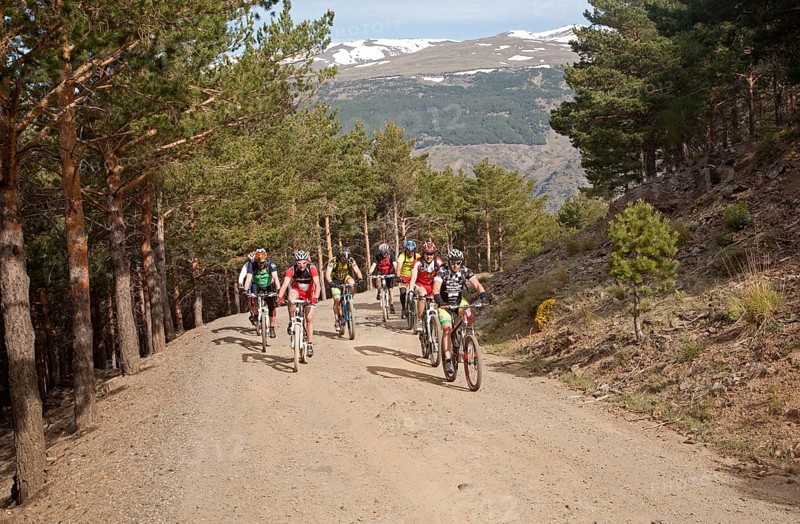 Cycling in the Sierra Nevada Mountains in the High Alpujarras, near Capileira, Granada Province, Spain, Europe