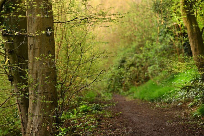 Iserlohn. This year's unusually warm weather in April has already given us a May. Nature exploded in a frenzy of colour. The unusually warm weather in April this year has already given us a May. Nature exploded in a riot of colours