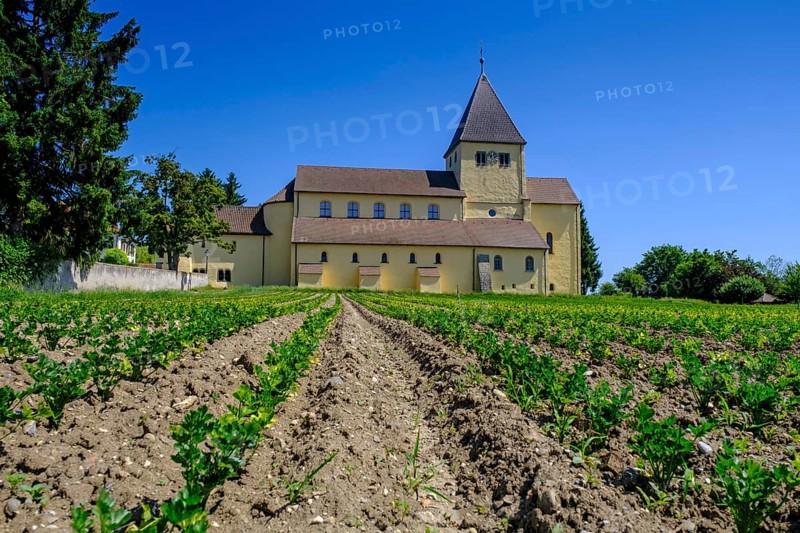 Parish Church of St George, UNESCO World Heritage Site, Oberzell, Reichenau Island on Lake Constance, Baden-Württemberg, Germany, Europe