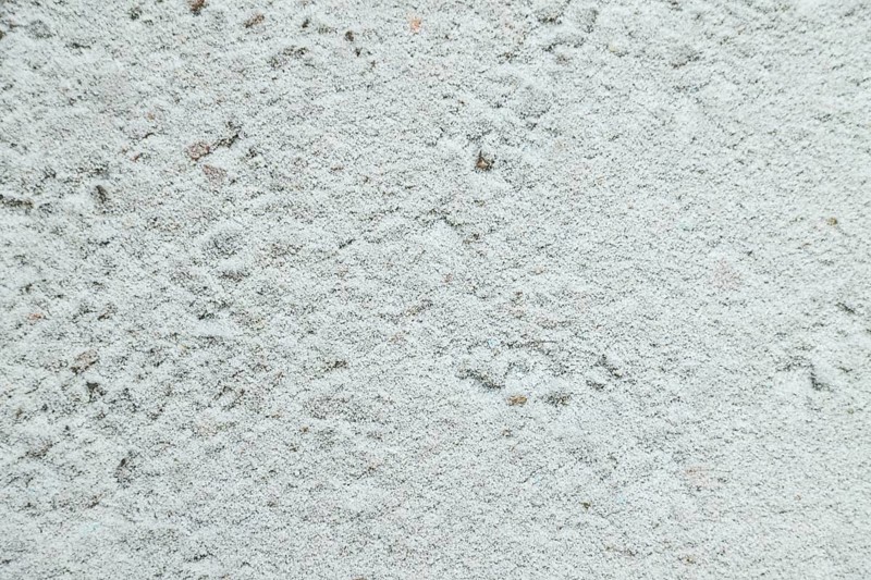 Leaves and grass covered with hoarfrost. Abstract floral background, garden and winter concept. Frost texture, close up, flat lay, top view