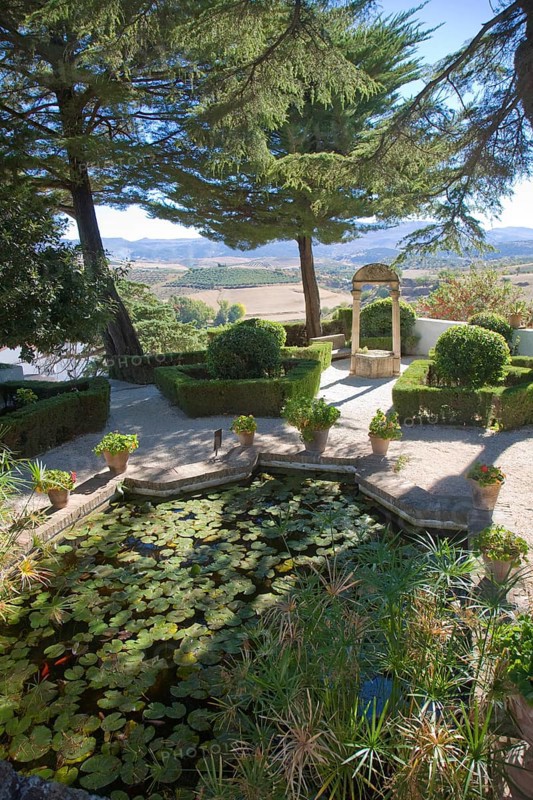 Pond plants trees in garden Casa del Rey Moro, Ronda, Spain, Europe
