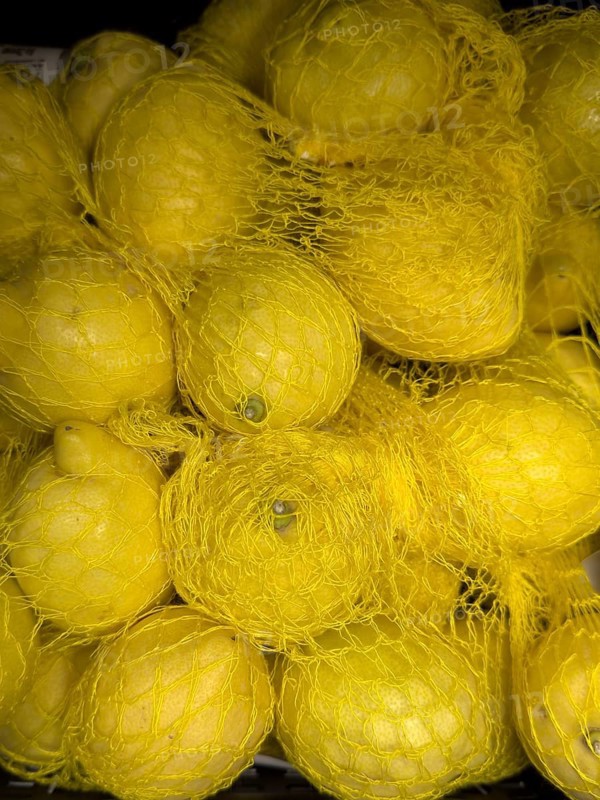 Lemons (Citrus limon) environmentally friendly packed with packaging in plastic net in display of fruit shop greengrocer grocery shop grocer grocer supermarket, Germany, Europe
