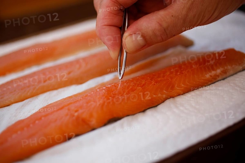 Southern German cuisine, preparation of sorrel soup with char, raw char fillets, remove bones with tweezers, freshwater fish, savoury, salty, healthy, men's hands, traditional cuisine, food photography, studio, Germany, Europe