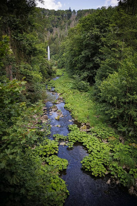 The Selbitz river flows through the Höllental valley between Thuringia and Bavaria. Lichtenberg, 21.07.2024