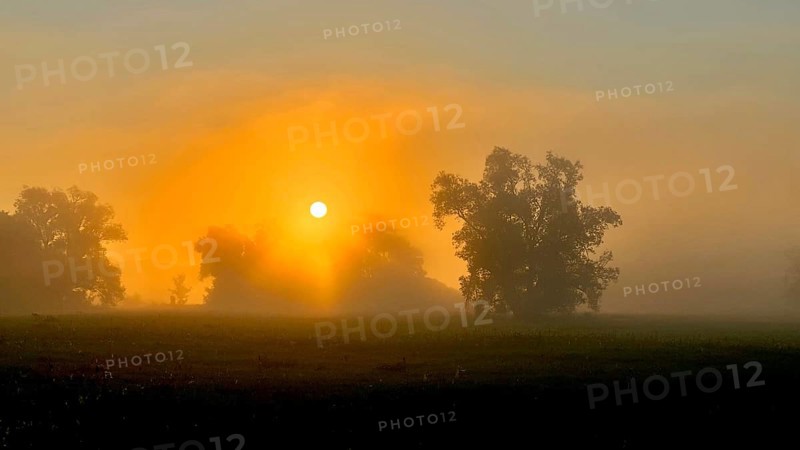 Foggy mood, sunrise in the Elbe floodplains, biotope, habitat, floodplain landscape, river course, delta, Elbe river landscape, flowing water, autumn mood, Middle Elbe Biosphere Reserve, Saxony-Anhalt, Germany, Europe