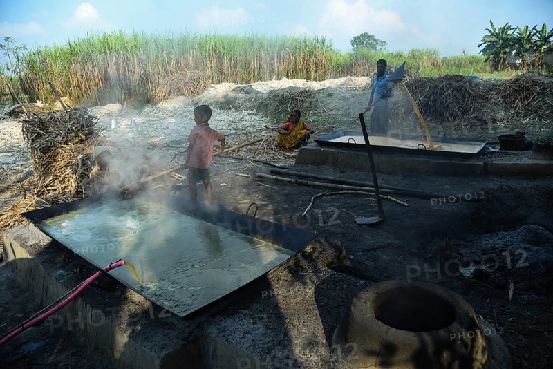 Workers boiling sugarcane juice as they are making Gur (jaggery) in a village on December 10, 2021 in Barpeta, Assam, India. Gur (jaggery) is a natural product of sugarcane, makes from raw, concentrated sugarcane juice, consumed in the Indian Subcontinent and Southeast Asia