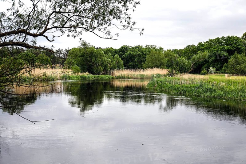 Unregulated natural course of the Spree, Mönchwinkel, 16 05 2023
