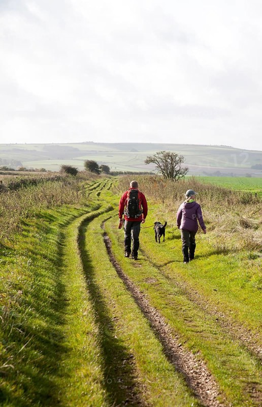 The Ridgeway long distance footpath dating from prehistory near its start on Overton Hill, Marlborough Downs, Wiltshire, England, UK