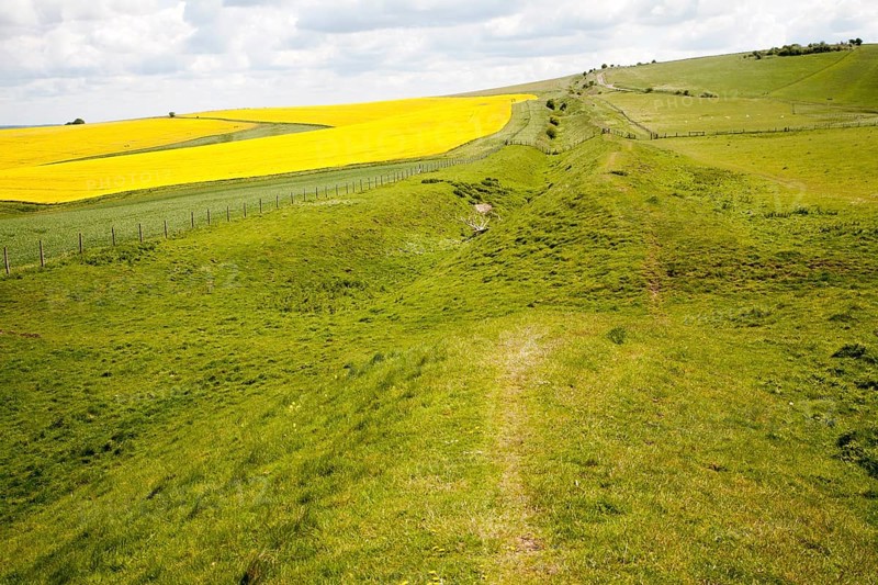 Ditch and embankment of the Wansdyke a Saxon defensive structure on All Cannings chalk downs, Tan Hill, Wiltshire, England, United Kingdom, Europe