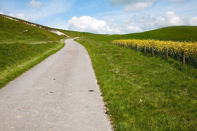 Small narrow lane on chalk downland scarp slope, Allington Down, Wiltshire, England, United Kingdom, Europe