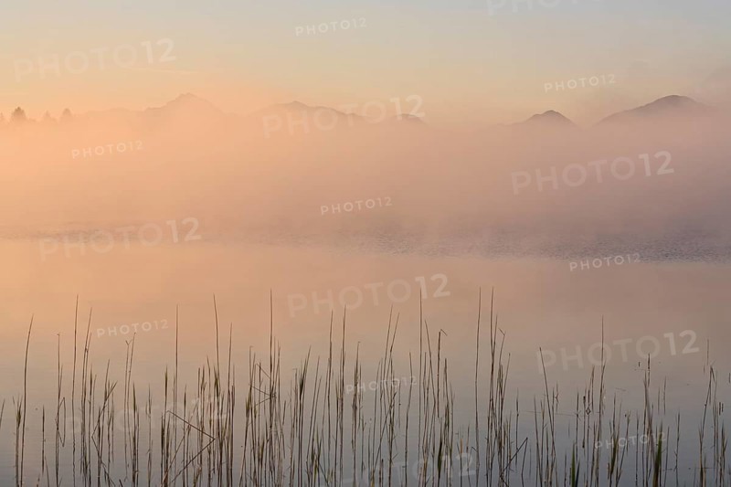 Foggy mood, lake, mountain landscape, peace, silence, morning light, summer, Staffelsee, Murnau, Alpine foothills, Bavaria, Germany, Europe