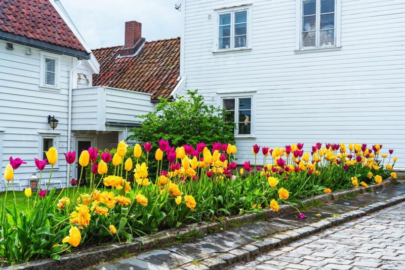 Gamle Stavanger, White Wooden Buildings in Old Stavanger, Stavanger, Norway, Europe