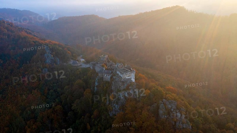 Aggstein castle ruins at sunrise, Schönbühel-Aggstein, Wachau, Lower Austria, Austria, Europe
