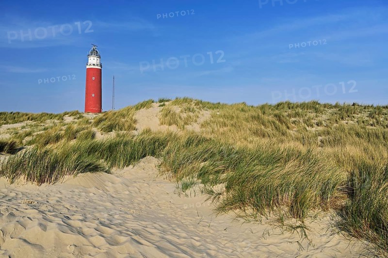 Eierland lighthouse with dunes, De Cocksdorp, Texel, West Frisian Islands, Province of North Holland, Netherlands