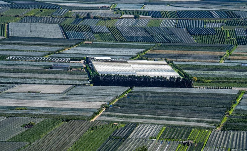Apple-growing area and wine-growing, in the Adige Valley, South Tyrol, large areas under cultivation, in South Tyrol over 18, 400 hectares, cultivated by over 7000 fruit growers, during the harvest season, Italy, Europe