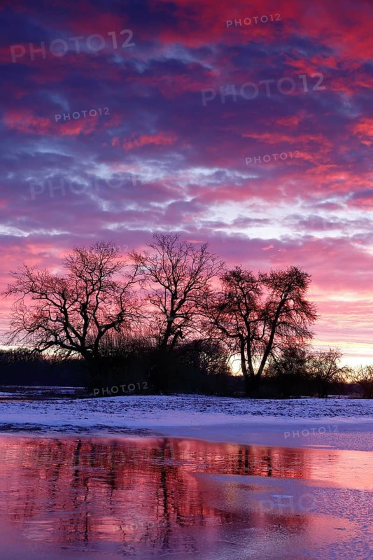 Winter floods 2024 on the Elbe and Mulde rivers with flooding of the meadows, ice on the meadows due to flooding in winter, morning mood in the Elbe floodplain, Middle Elbe Biosphere Reserve, Dessau-Roßlau, Saxony-Anhalt, Germany, Europe