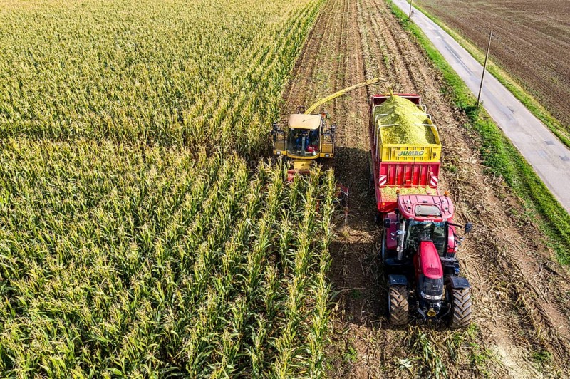 Maize harvest, combine harvester, chopper works its way through a maize field, the silage is pumped directly into a trailer, serves as cattle feed, Lower Rhine, Rees, North Rhine-Westphalia, Germany, Europe
