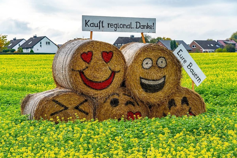 Advertising for regional purchasing, from farmers in the region, straw bales in a rapeseed field near Nottuln, North Rhine-Westphalia, Germany, Europe