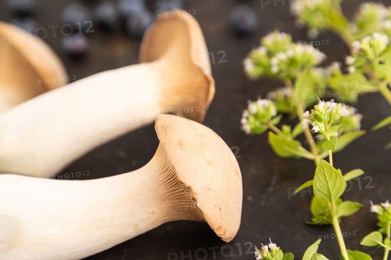 King Oyster mushrooms or Eringi (Pleurotus eryngii) on black concrete background with blueberry, herbs and spices. Side view, selective focus