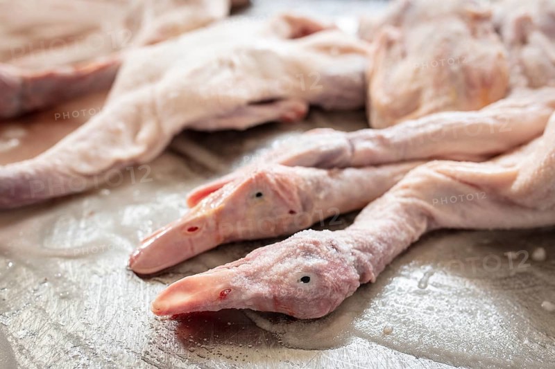 Production of salted ducks factory Nan Jing Ying Tao Yo Co. Ltd., for consumption in restaurants but also for sale as durable products as souvenirs, the frozen ducks come from the duck farms, are salted, brined, dried and scalded, Nanjing, China, Asia