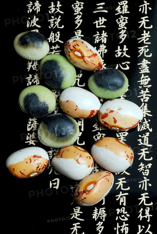 Japanese Soya beans (Glycine max) white-brown from Hokkaido, black-green from Nagano, bean, Sojabeans, characters