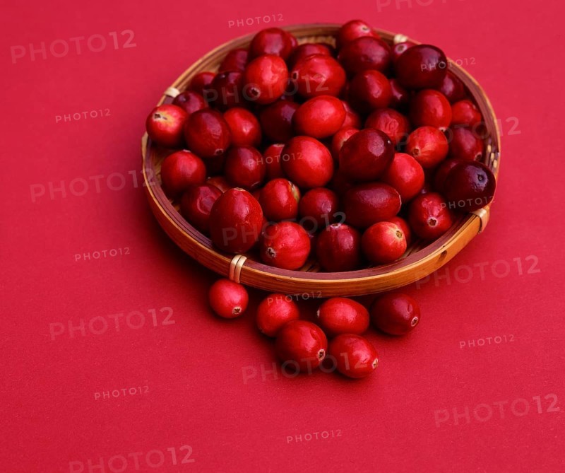 Bowl with Lingonberries (Vaccinium vitis-idaea)
