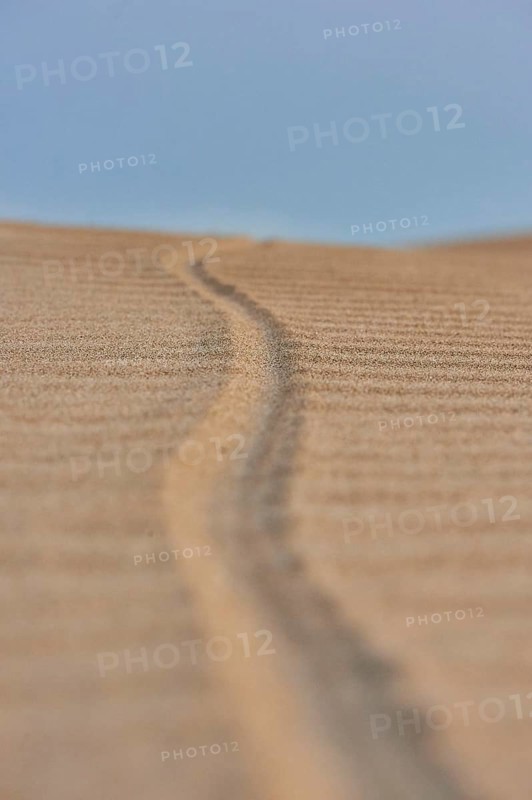 A track on the beach "Platja del Fangar", coast, nature reserve, ebro delta, Catalonia, Spain, Europe