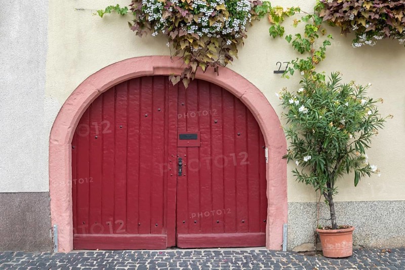 Gate at a historic winegrower's house, St. Martin, Palatinate, Rhineland-Palatinate, Germany, North America