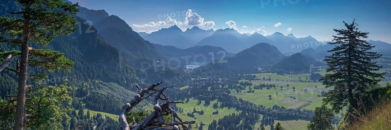 Neuschwanstein Castle, Hohenschwangau near Füssen, Ostallgäu, Allgäu, Bavaria, Germany, Europe