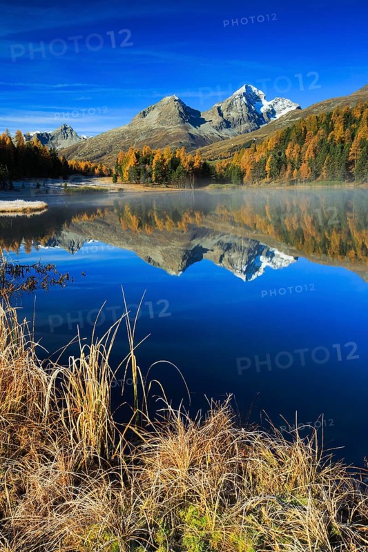Lej da Staz, Upper Engadine, Grisons, Switzerland, Europe