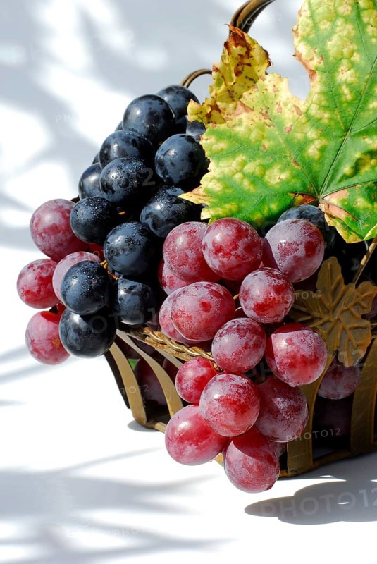 Grapes in basket (Vitis vinifera)