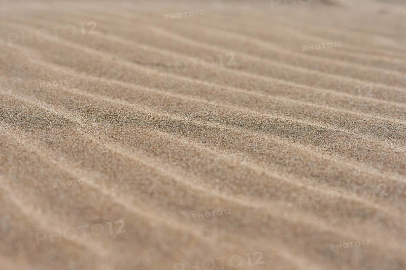Sand drifts on the beach "Platja del Fangar", coast, nature reserve, ebro delta, Catalonia, Spain, Europe