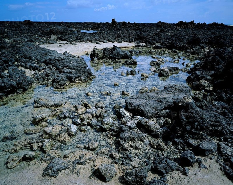 Coast at Orzola, Lanzarote, Canary Islands, Spain, Coast at Orzola, Canary Islands (Europe) (landscape) (horizontal), Spain, Europe