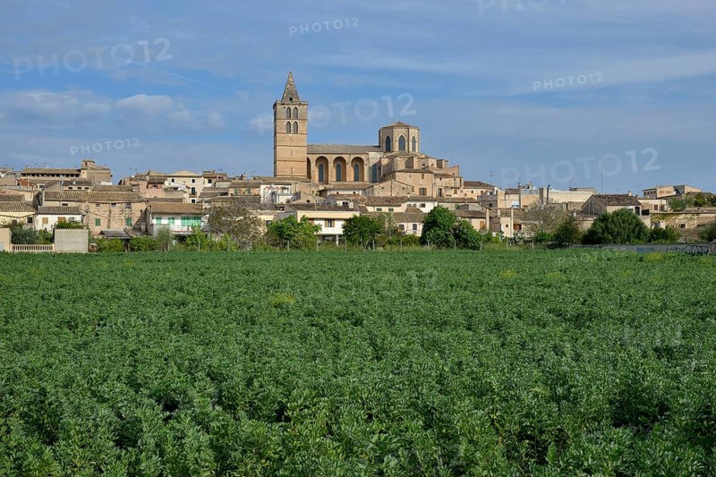 Parish church Nostra Senyora dels Angels, Sineu, Majorca, Balearic Islands, Spain, Europe