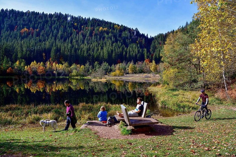 Hikers at Lake Sankenbach, Karsee, autumn, near Baiersbronn, Freudenstadt district, Black Forest, Baden-Württemberg, Germany, Europe