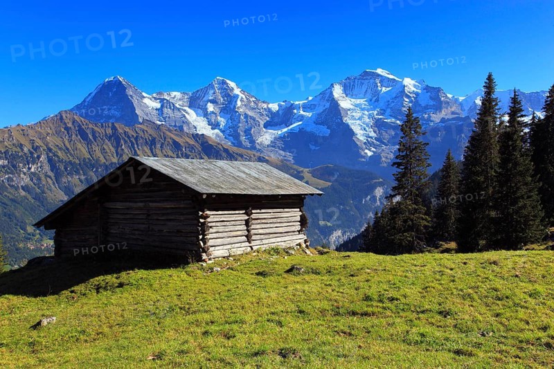 Lauterbrunnen Valley, Eiger, 3970 m, Mönch, 4107 m, and Jungfrau, 4158 m, view from Sulwald, Bernese Oberland, Switzerland, Europe