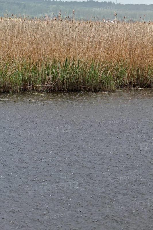 Heavy rain on the Trebel River, severe weather, Peene Valley River Landscape nature park Park, Mecklenburg-Western Pomerania, Germany, Europe