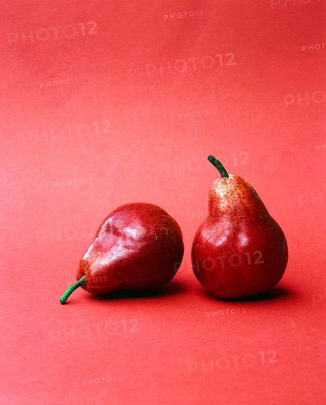 Pears 'Williams Christus (Pyrus communis)
