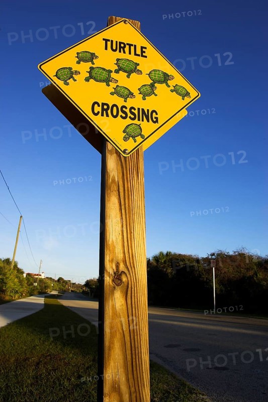 Road sign 'Tortoises crossing the roadway', Daytona Beach, Florida, USA, North America
