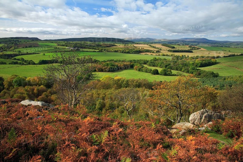 Blick from Corby Crags near Alnwick, Cheviot Hills, Northumberland national park, England, United Kingdom, Europe