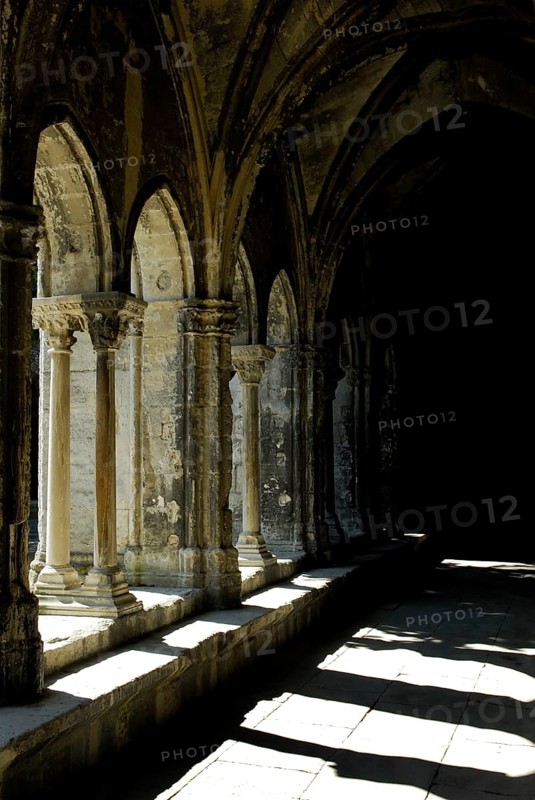 Cloister, Saint Trophime Cathedral, Arles, Bouches-du-Rhone, Provence-Alpes-Cote d'Azur, Southern France