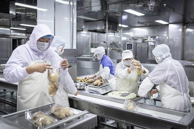 Production of salted ducks in the Nan Jing Ying Tao Yo Co. Ltd. factory, for consumption in restaurants but also for sale as durable products and as souvenirs, the frozen ducks come from the duck farms, are salted, brined, dried and scalded, Nanjing, China, Asia
