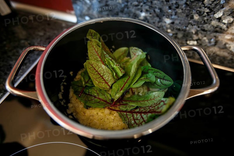 Swabian cuisine, preparation of Pfitzauf with sorrel sauce, vegetarian, stewing sorrel in a saucepan, grandmother's cooking, regional, home cooking, typical Swabian, traditional cuisine reinterpreted, food photography, studio, Germany, Europe