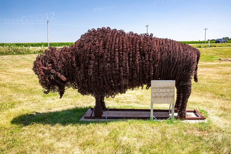 Holdrege, Nebraska - Buffalo art outside the Nebraska Prairie Museum. The buffalo was constructed from two miles of barbed wire used on area farm fences from 1885 to 1970.