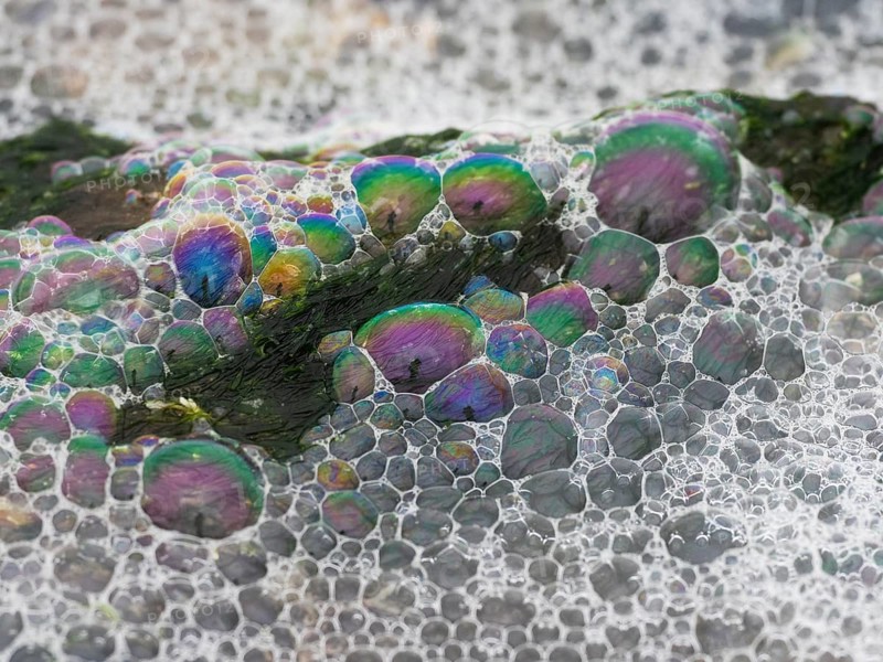 Colorful patterns of bubbles on the beach, caused by the wind blowing the sea spray inland, where it gathers on the beach, island of Texel, Holland