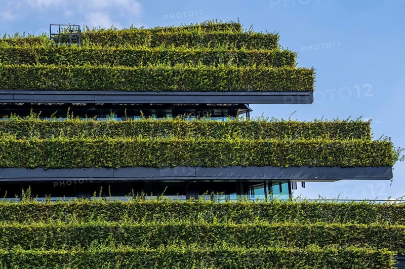 Green façade, consisting of over 30, 000 hornbeams, which form a hedge a good 8 kilometres long, on the roof and façade of the Kö-Bogen-2 building, technician, largest green façade in Europe, Düsseldorf North Rhine-Westphalia, Germany, Europe