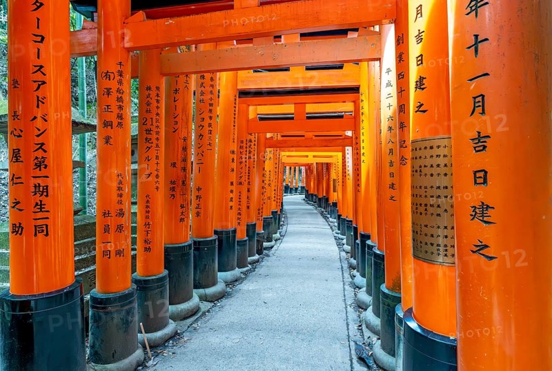 Torii path, Fushimi Inari-Taisha shrine, Kyoto, Japan, Asia