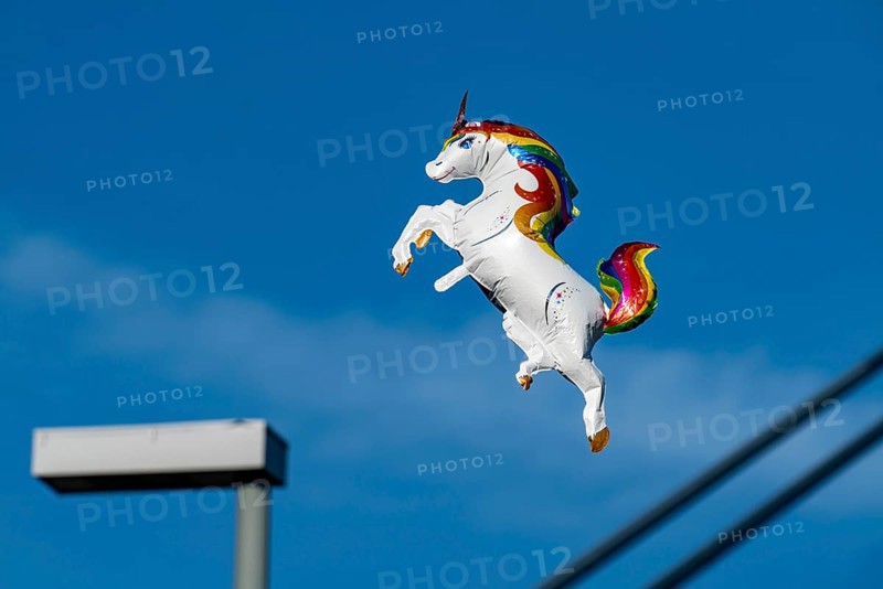 The Rhine Fair in Düsseldorf, in the Rhine meadows in the Oberkassel district, on the Rhine, North Rhine-Westphalia, Germany, Flying Unicorn Gas Balloon, Europe